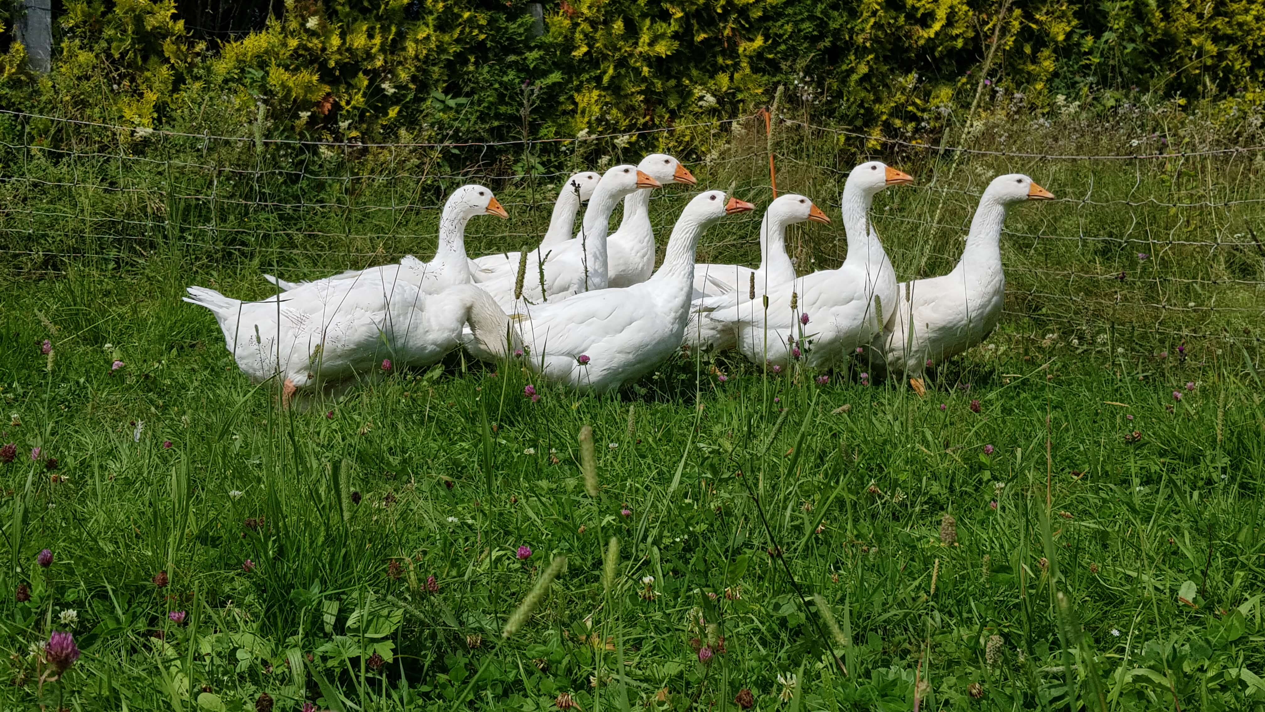 Gästehaus Galerie Bild 2