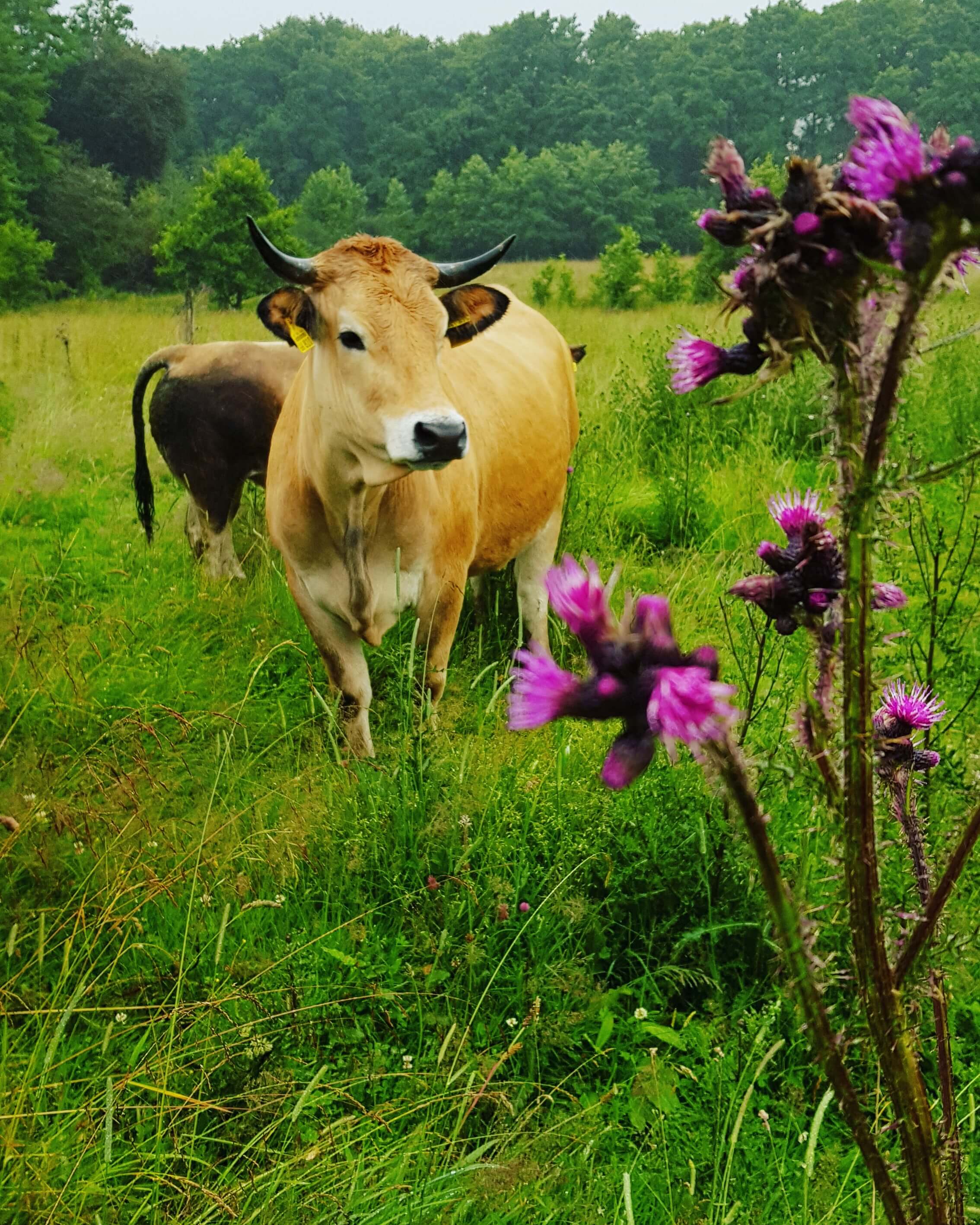 Gästehaus Galerie Bild 5