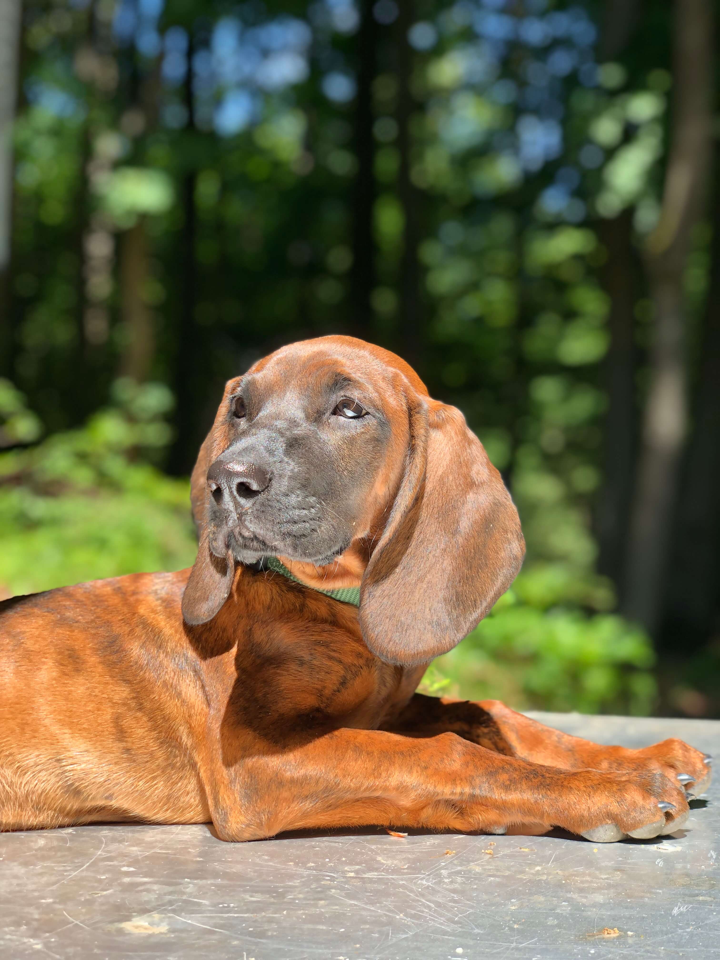 Gästehaus Galerie Bild 9