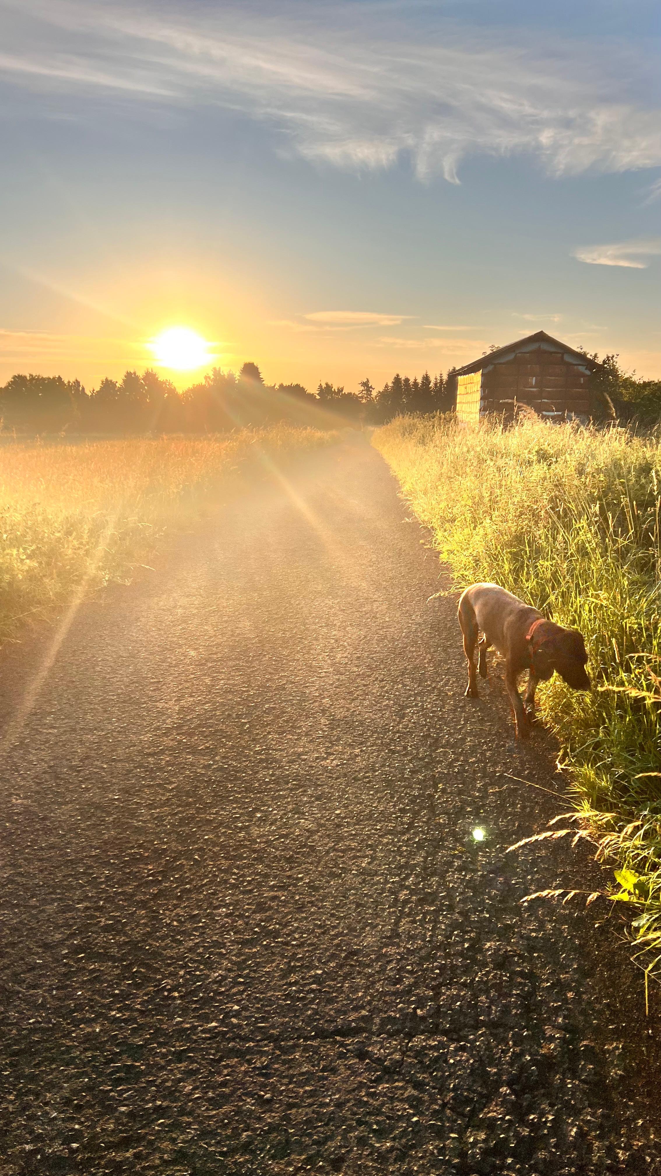 Eselwanderung Bild 5