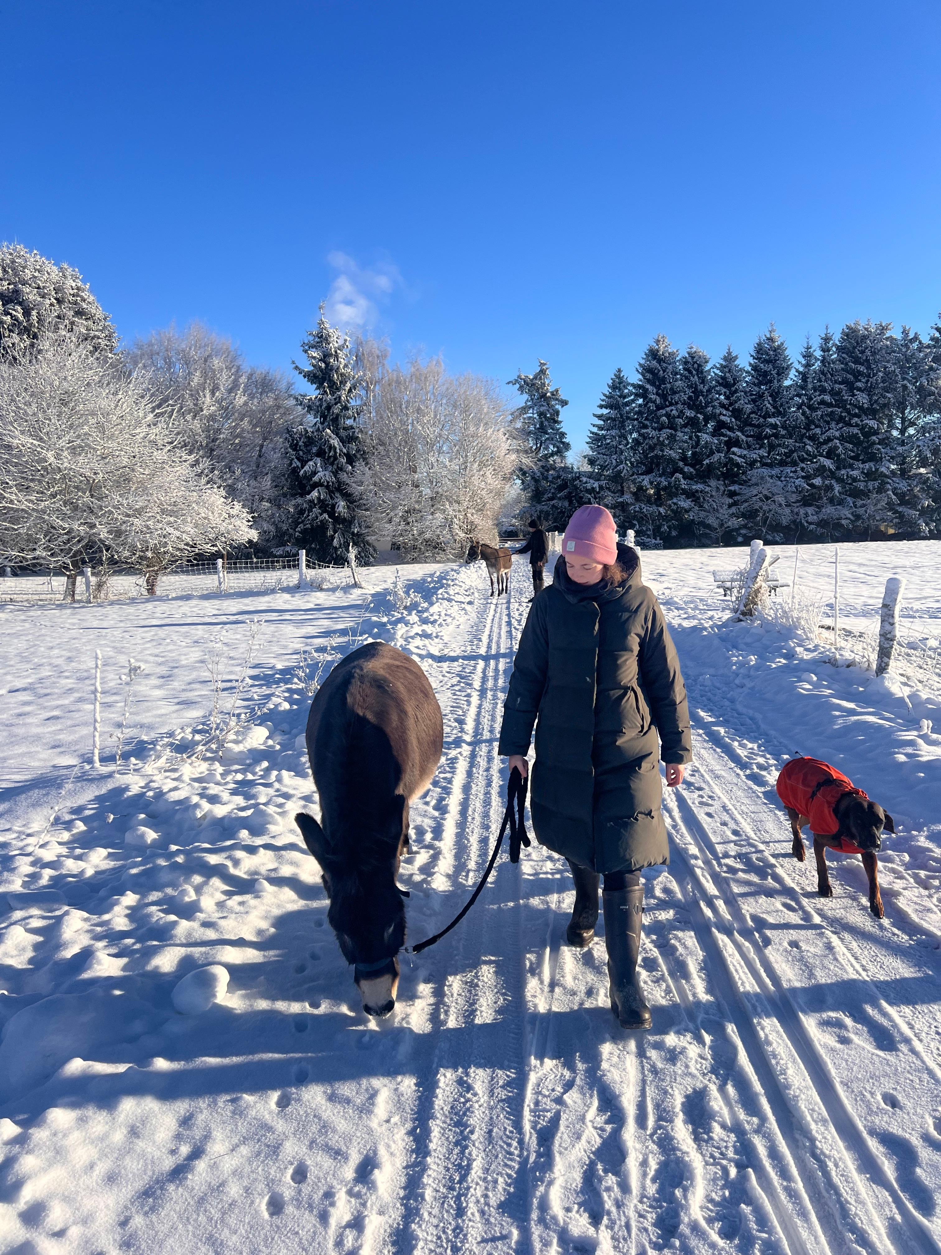 Eselwanderung Bild 6