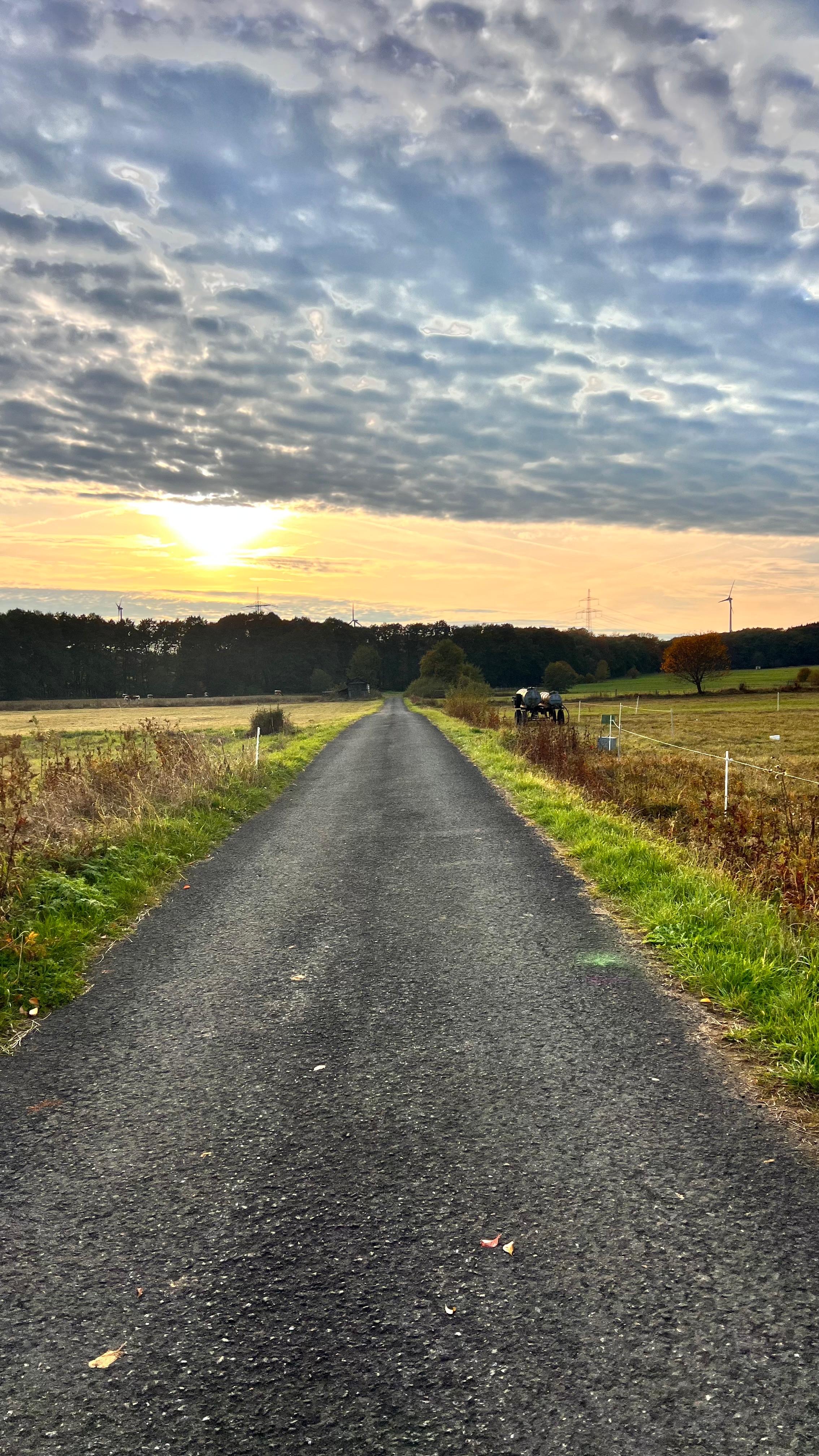 Eselwanderung Bild 7